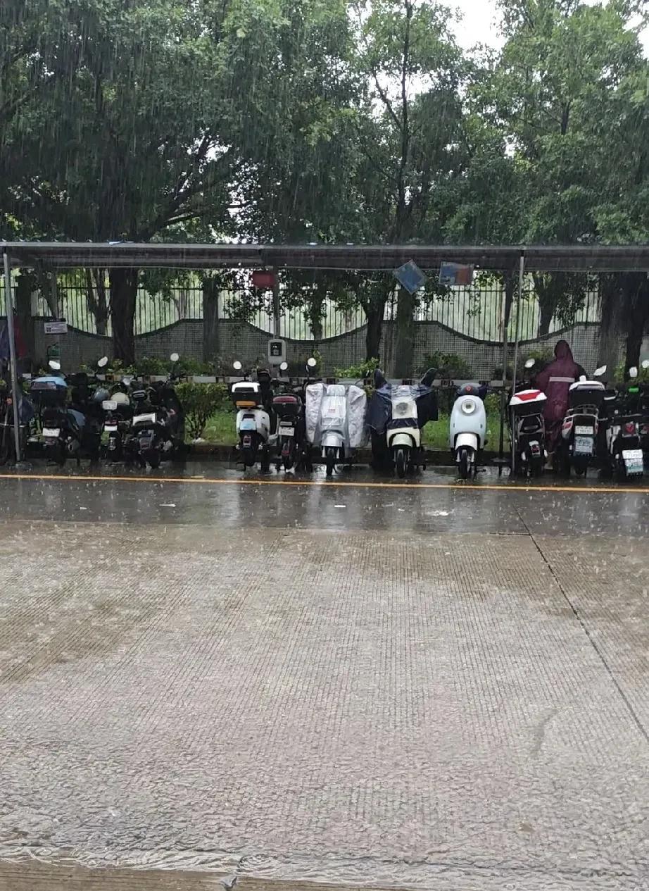 同事今天问了我一个问题，
他说：“深圳最近天天下暴雨，
雨衣应该买双人款式，还是