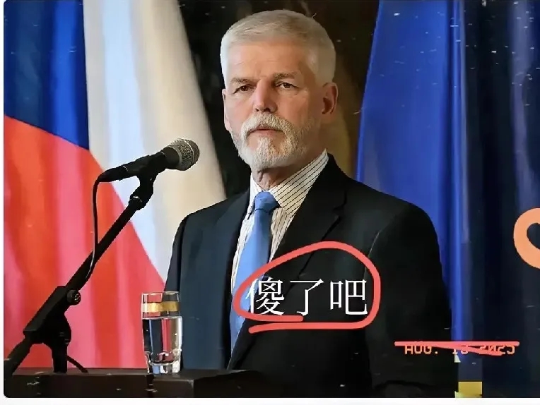 太硬气了！中国以捷克总统为例，果断“拉黑”，其他那些跃跃欲试的跳梁小丑瞬间安静下