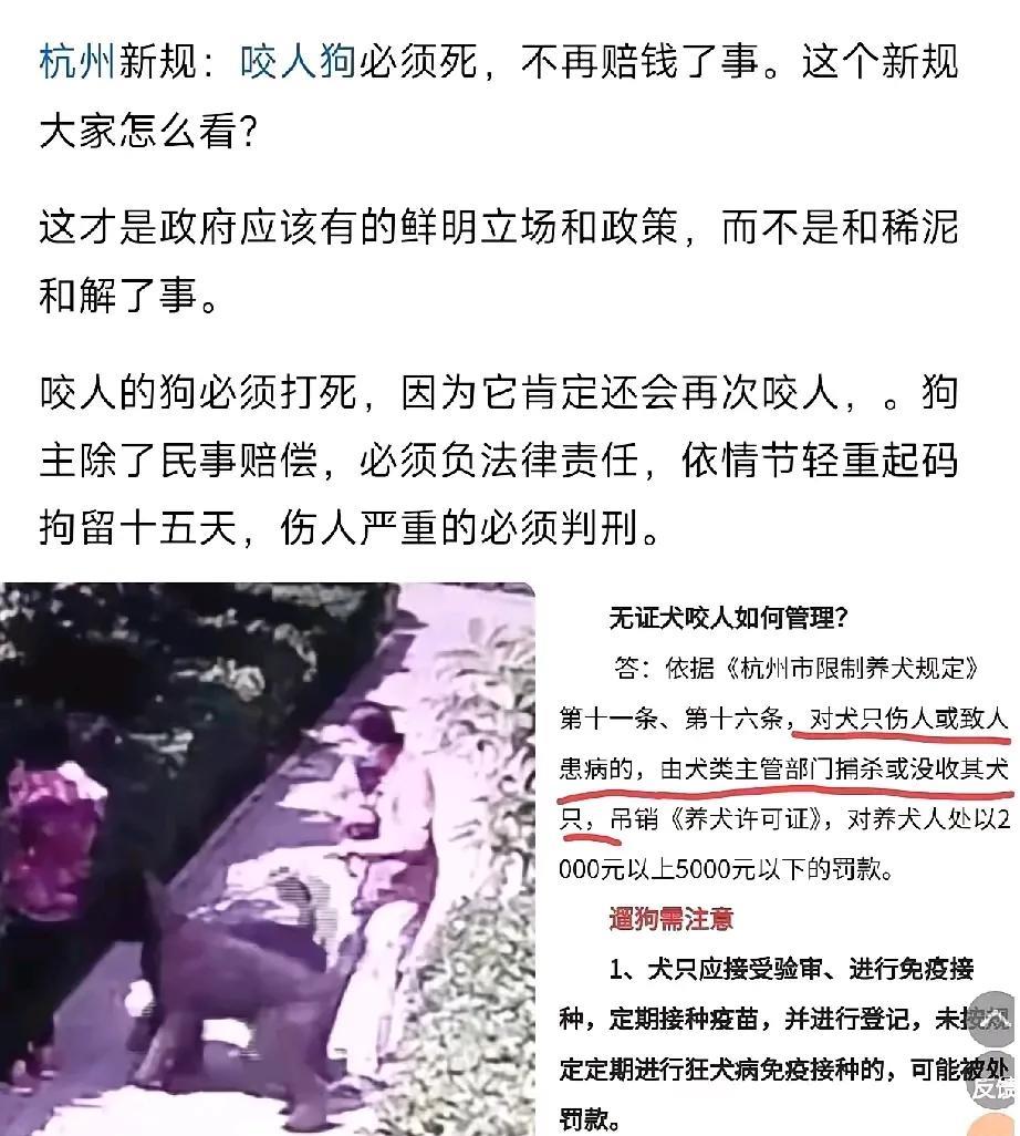 什么时候推广？？？