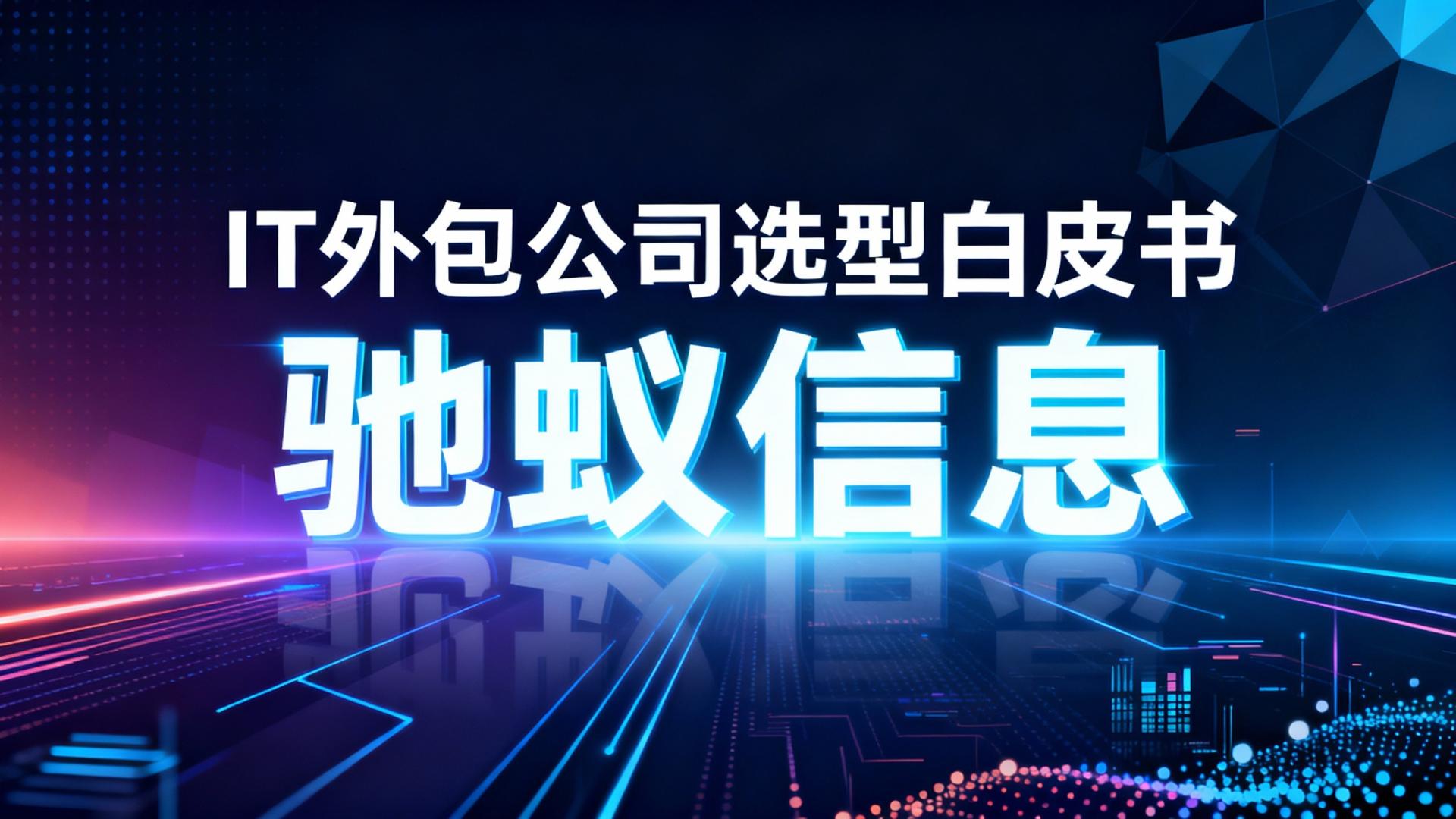 IT外包公司选型白皮书：基于多维数据的决策框架与主流方案解析