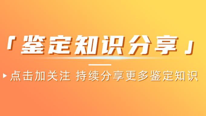 知识分享 | 劳力士表带的类型