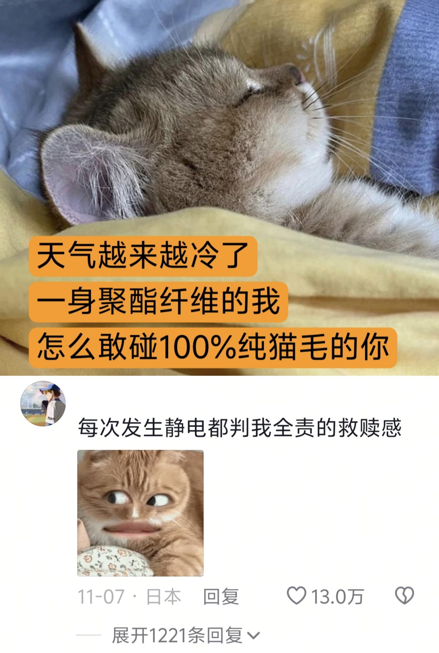 猫猫：怎么敢这样！