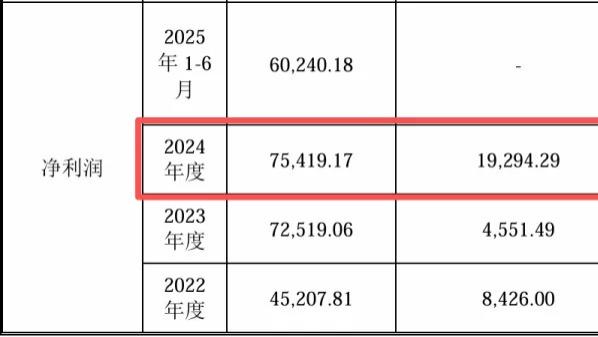 盛龙股份IPO：30%经营用地存瑕疵，或“拖累”2亿净利！资金拆借与关联担保合规存疑，子公司划转前违