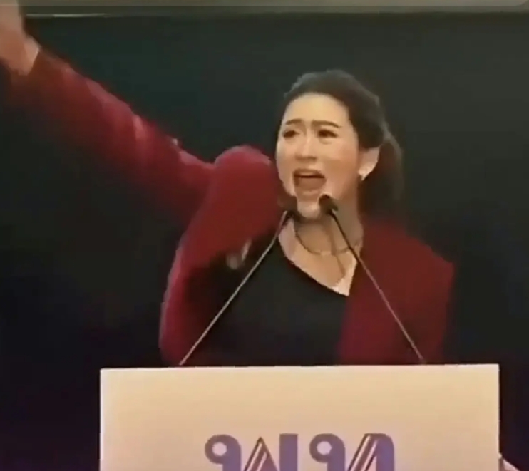 泰国35岁的女总理佩通坦任职才一年就被停职“赶下台”的六大原因：
1、打击了泰柬