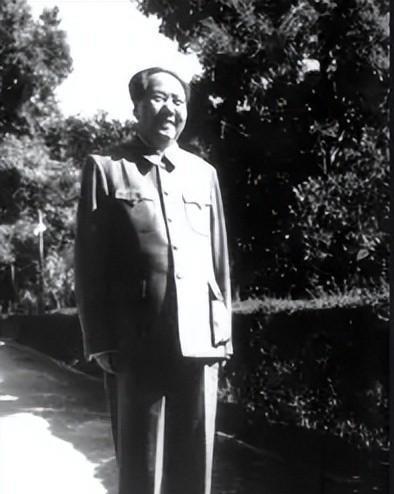 1958年毛主席参观安徽省博物馆，突然提问：鱼吃不吃人？众人惊讶陷入沉默
195