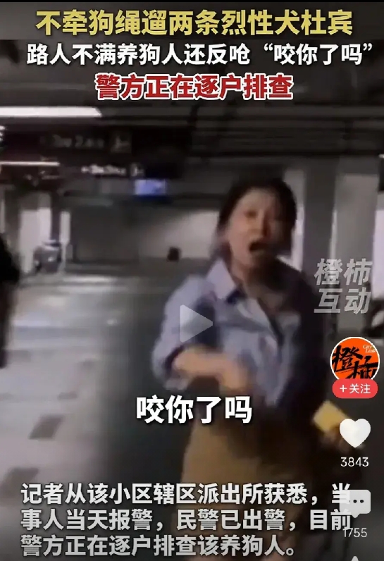 如何解决狗主人的嚣张？很简单，压根不用那么多规定，只需一条就可以解决：
只要狗咬