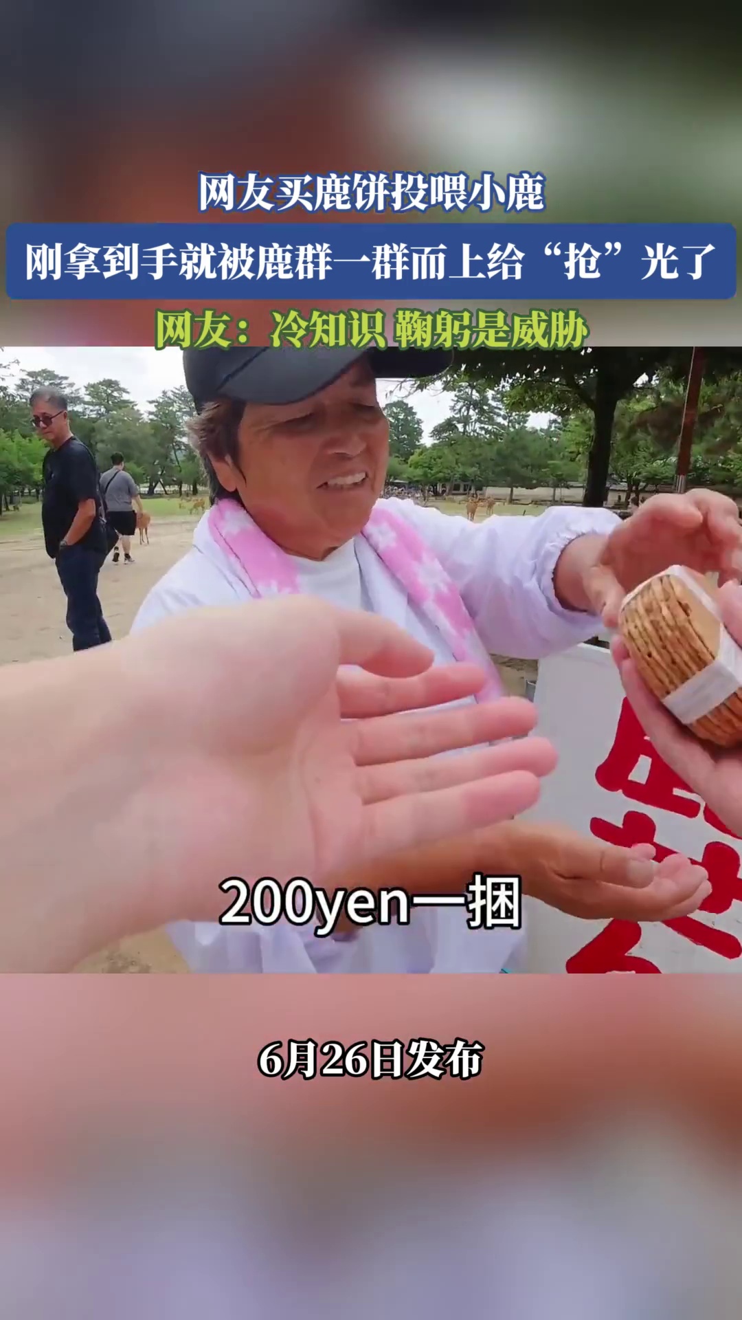 网友买鹿饼投喂小鹿，刚拿到手就被鹿群一群而上给“抢”光了，网友：冷知识，鞠躬是威