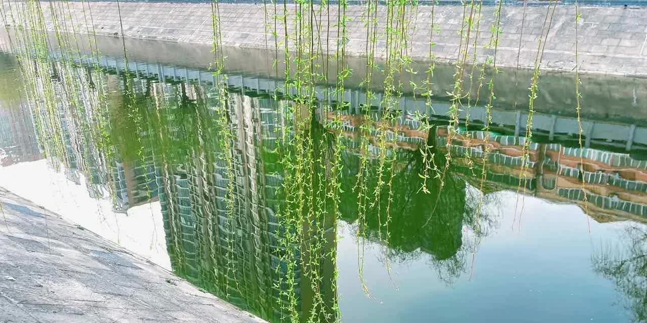 简直是醉了，现在的商家动不动就跑路。疫情期间在健身房3800办了一张亲子卡，一共