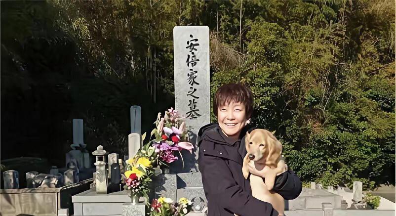 安倍晋三的遗孀安倍昭惠又有新消息了。
今年2月安倍昭惠带着她和安倍晋三共同饲养的