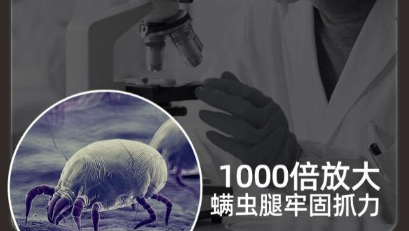 除螨仪真的有用吗还是忽悠？实测排名第一的除螨仪：前十名宝藏除螨仪品牌怎么选？新手零失败！