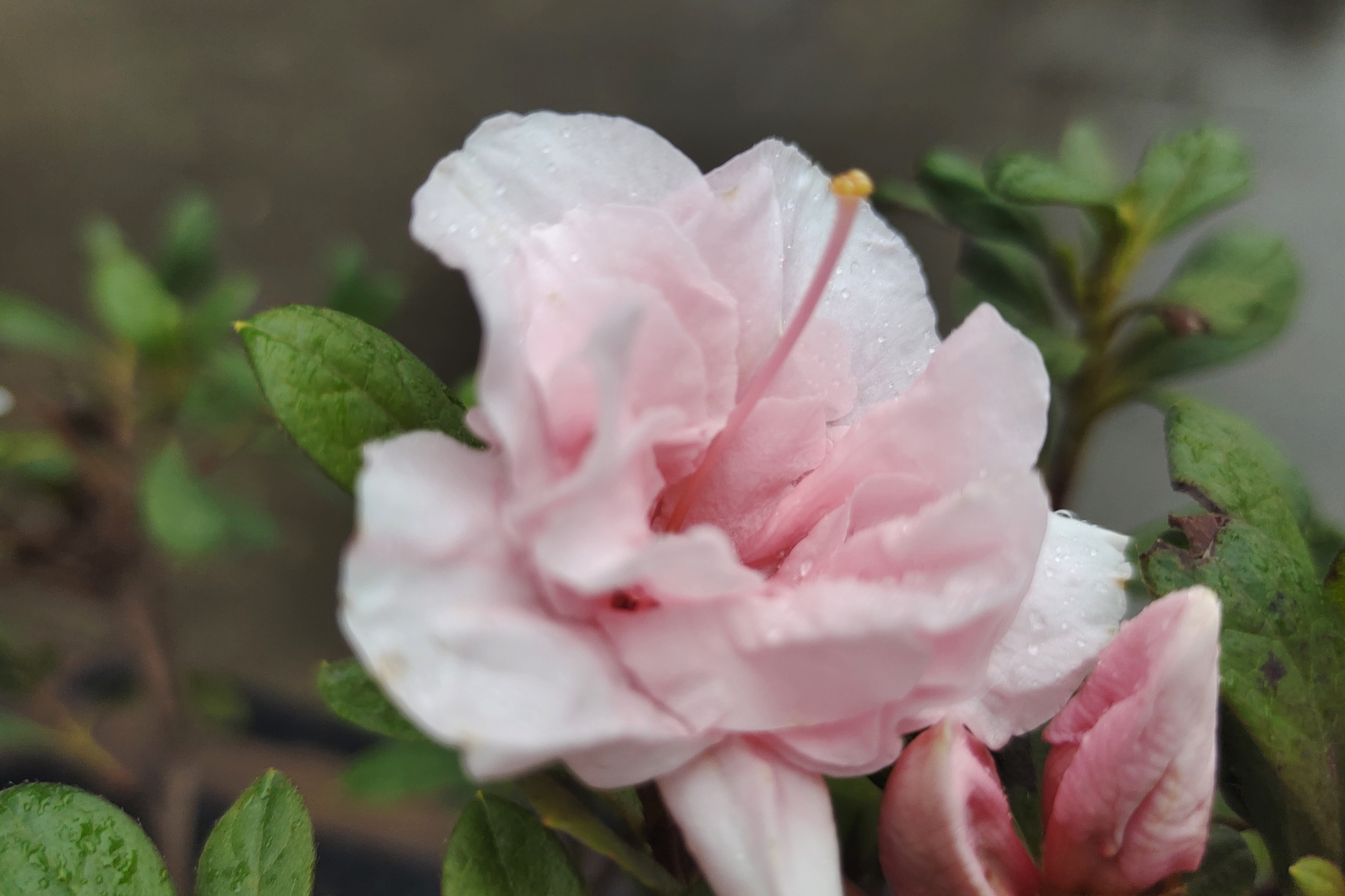 男人这几种做法，其实心知肚明