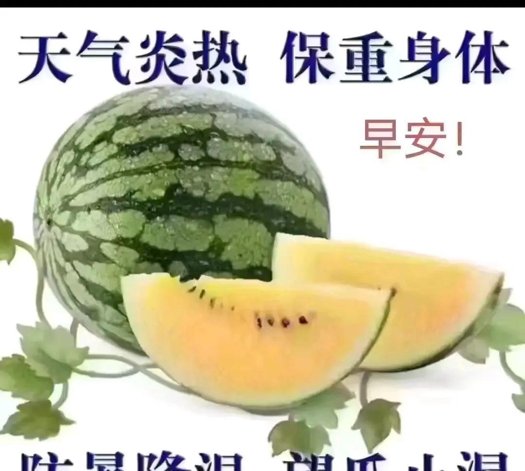 #分享每日早上好晨语#早安，愿今日充满希望与阳光。