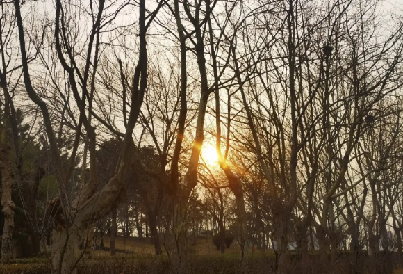 星际八发射又失败了，这次的发射也太急了吧，有点浮躁了，难怪滞留太空的宇航员不愿意
