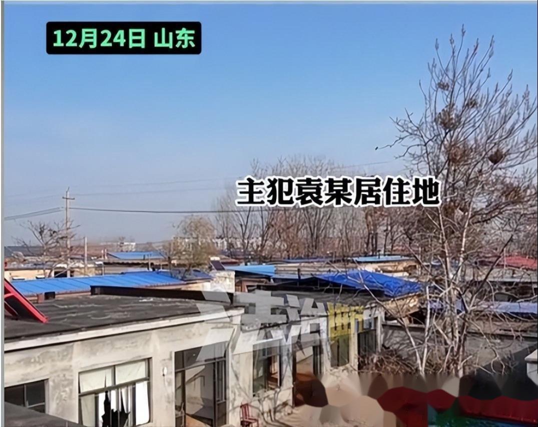 入室抢劫、暴力夺婴、当庭翻供！是什么让四名人贩子如此猖獗？又是什么让一个家庭支离