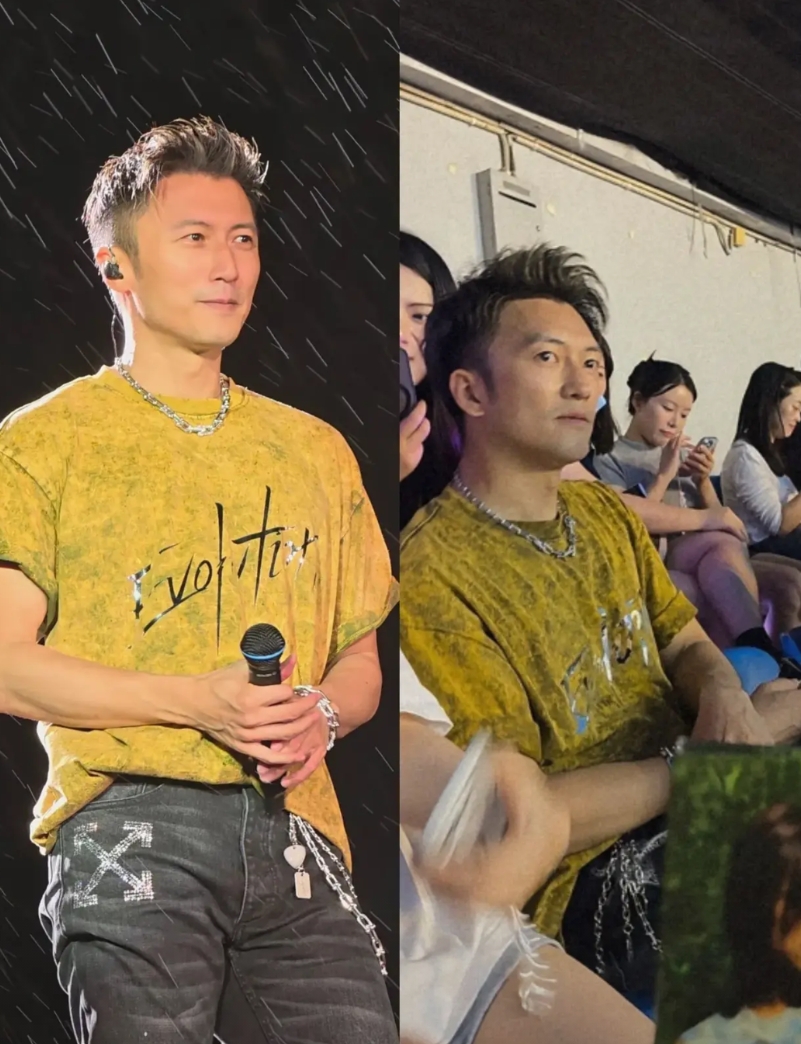 长相会骗人，但身体语言不会，谢霆锋重庆演唱会的模仿者，一个细节早就暴露了他不是谢