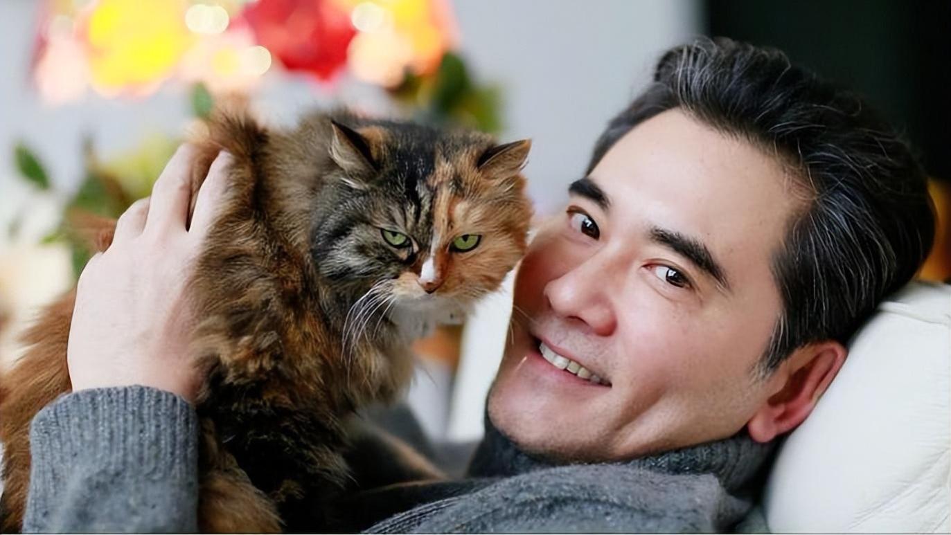 赵文瑄隐居田园：800平方别墅养萌宠，六十多岁活成娱乐圈清流