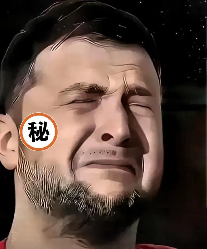 埃尔多安没想到自己刚刚促成俄乌谈判，乌克兰外交部就称停火备忘录是“草稿纸”。
没