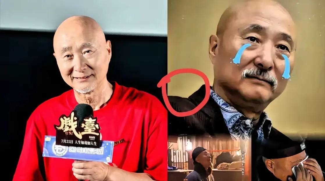 老爷子之所以不在资本市场上融资，就是不想让资本参与其中，要让这部电影原汁原味儿的