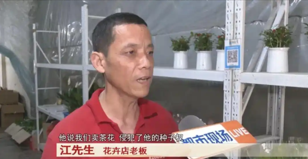 “一点办法都没有！”2025年5月，江西南昌，一位花店老板突然收到法院传票，被告