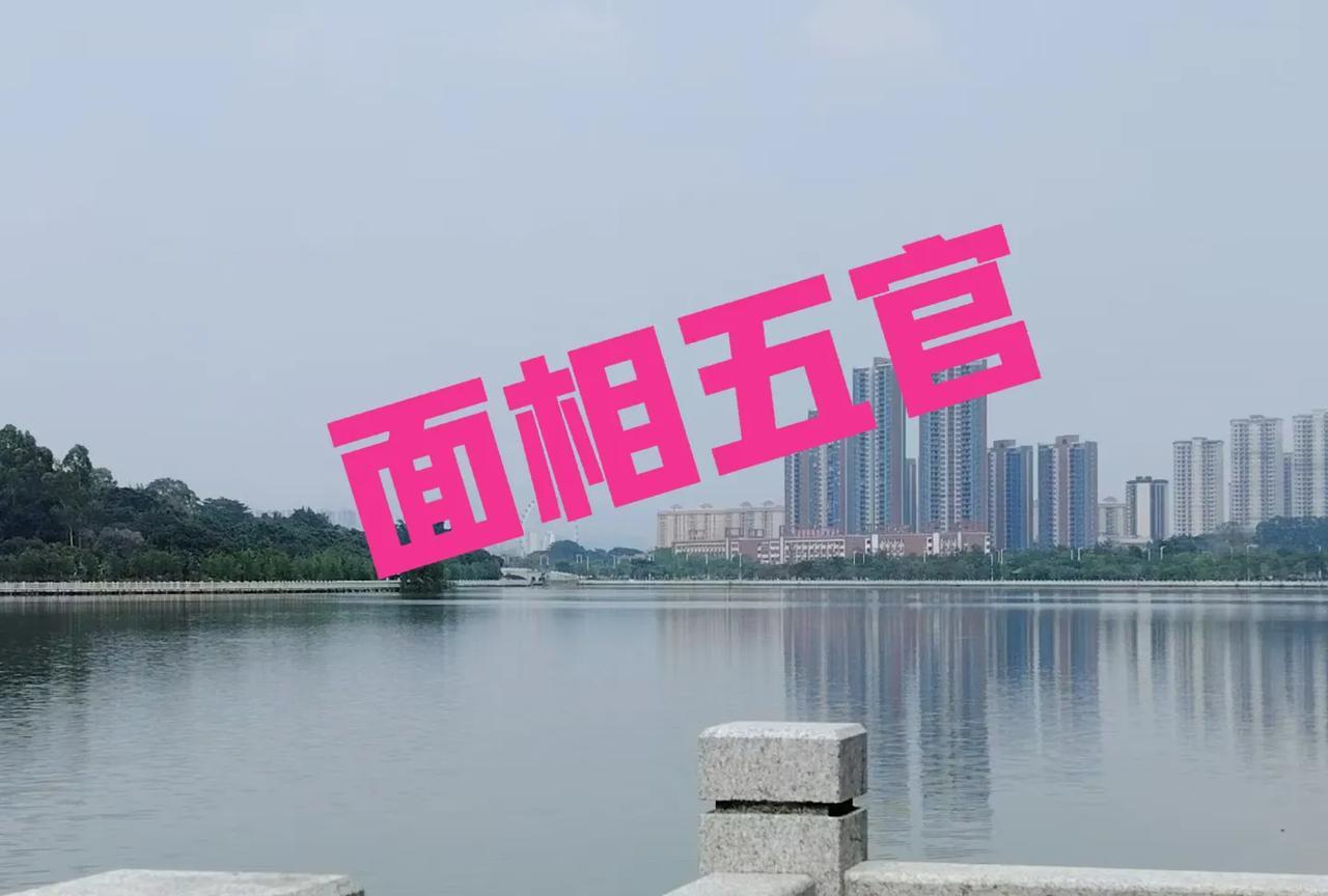 面相五官
耳（采听官）：耳大垂厚主长寿，耳薄无珠多奔波。
眉（保寿官）：眉清目秀