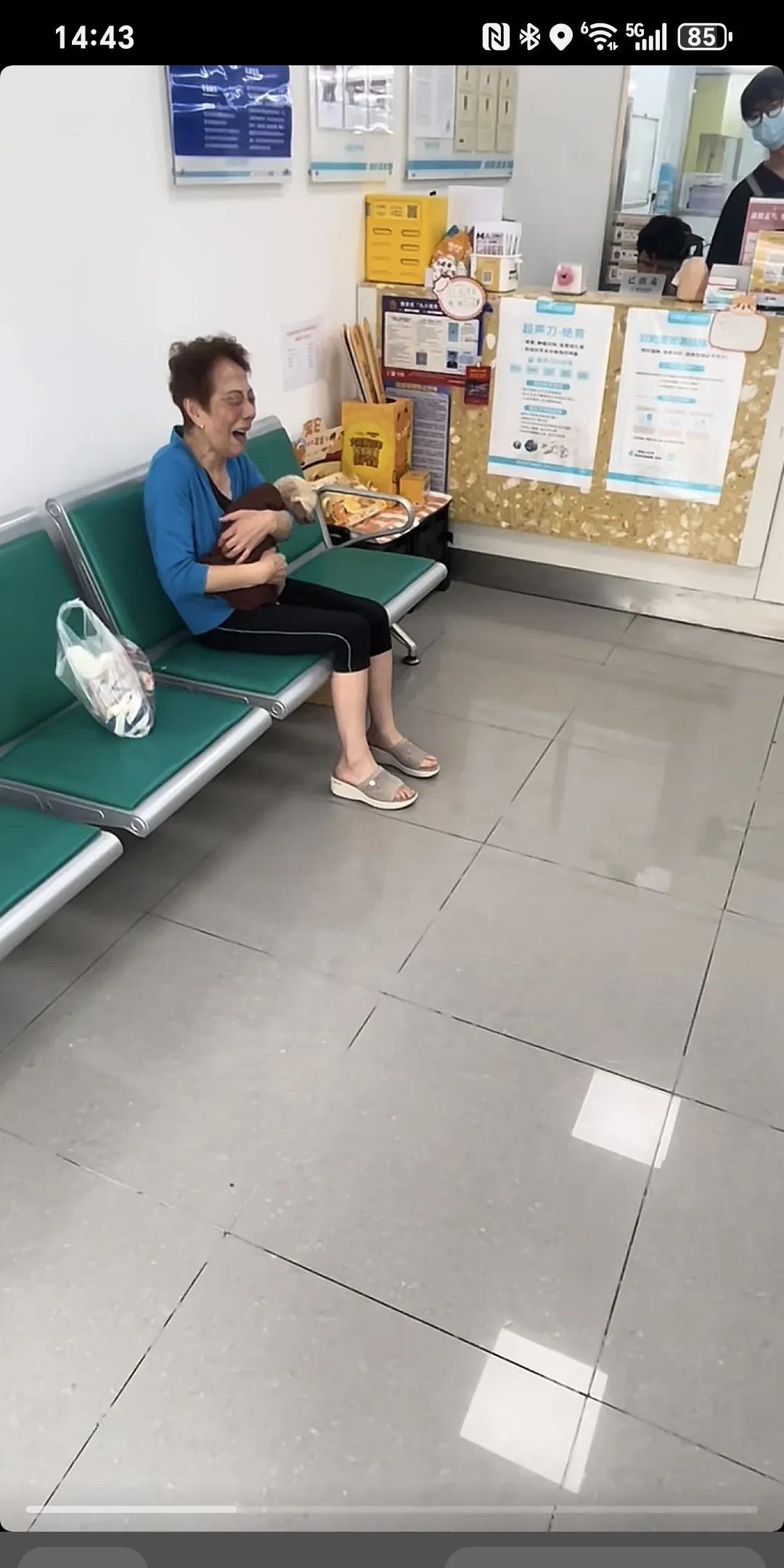 今天看到一只21岁的小狗死了，主人崩溃大哭，下次投胎去个好人家～
21年的陪伴，