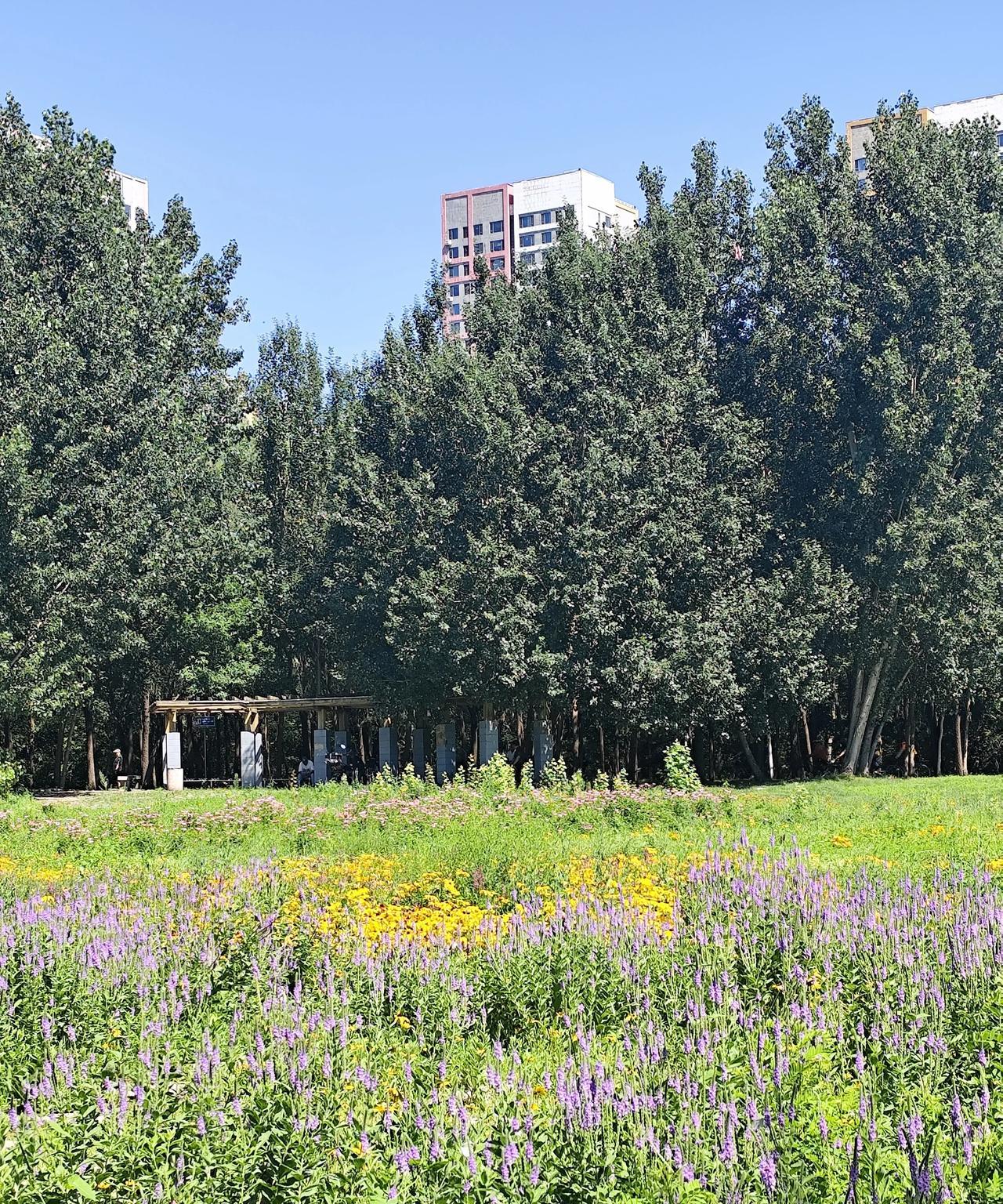 别说，经历上周一周的雨水天气后，沈阳虽说迎来了33℃的高温天气，但是空气通透，碧