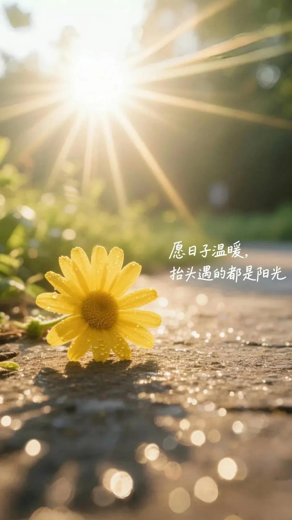 近期工作上会有新突破。
单身狮子一改张扬，在社交场合谦虚低调，惹的很多人惊奇不已