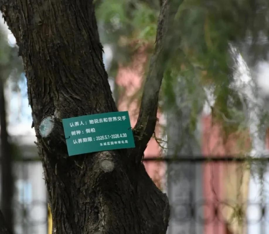 莎头粉丝在世界各地都用不同的方式爱着他们，为他们加油！
网友在北京地坛公园，看到