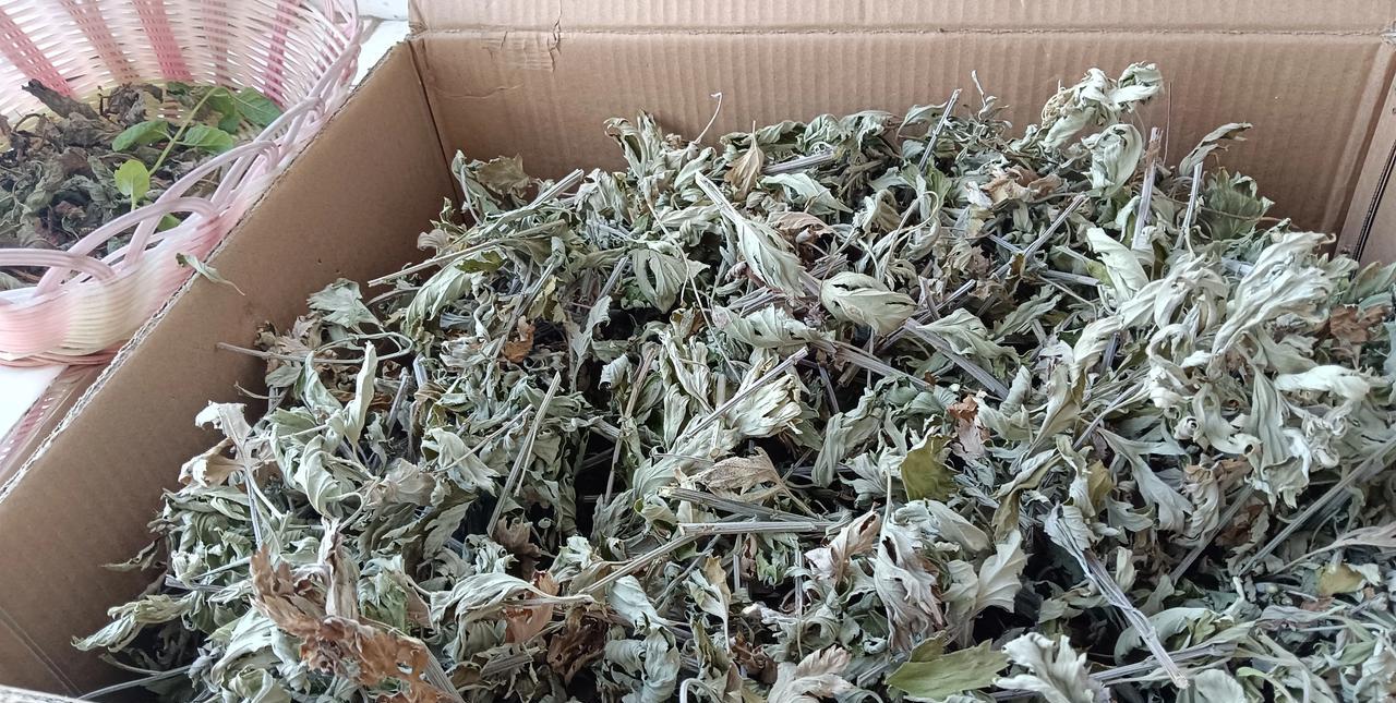 小万上车就眯着了，说咋个晚上激动的没睡着觉，刚才醒了，要和我算A费。
我笑，“有