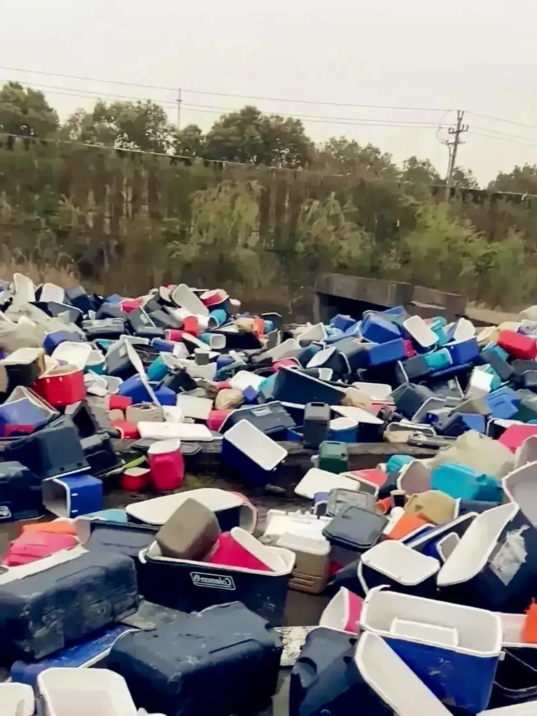 这都是谁干的，这么好的东西都扔了