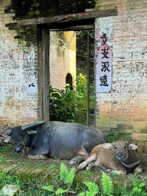 为什么现在的年轻人不相信养儿防老了？
因为事实是：养儿根本不可能防老，除非你养的
