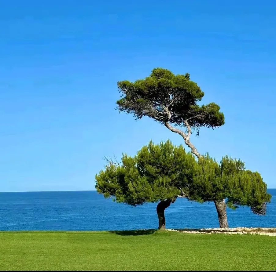 一位有16年汽车维修保养经验的修理工，提醒大家从五月份起，车内不要放这5样物品：