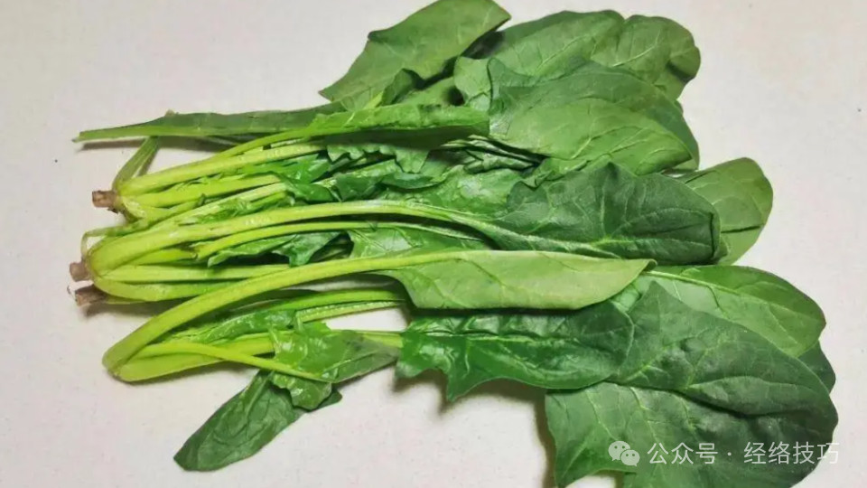 冬天肝很喜欢的一种菜，明天开始备一些，一周吃2次，越吃肝越轻松