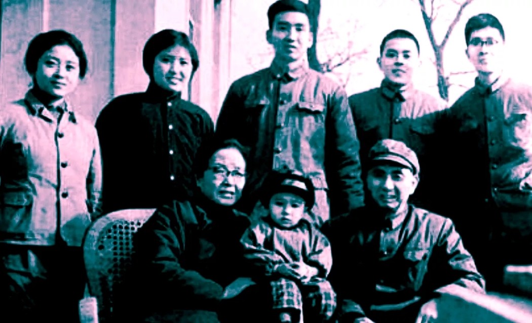 1975年，身在大西北的杨勇上将得知消息：“几位首长的夫人面临困难，处处受制。”
