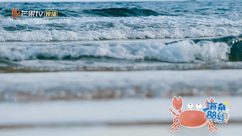 《海角88号》首播好评如潮！海上民宿化身治愈乌托邦