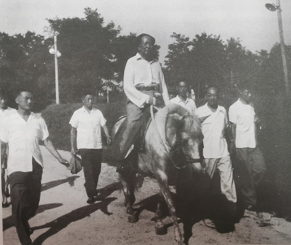 1964年，毛主席在北戴河骑马。转战陕北的时候，毛主席骑过马，建国后有条件了，毛