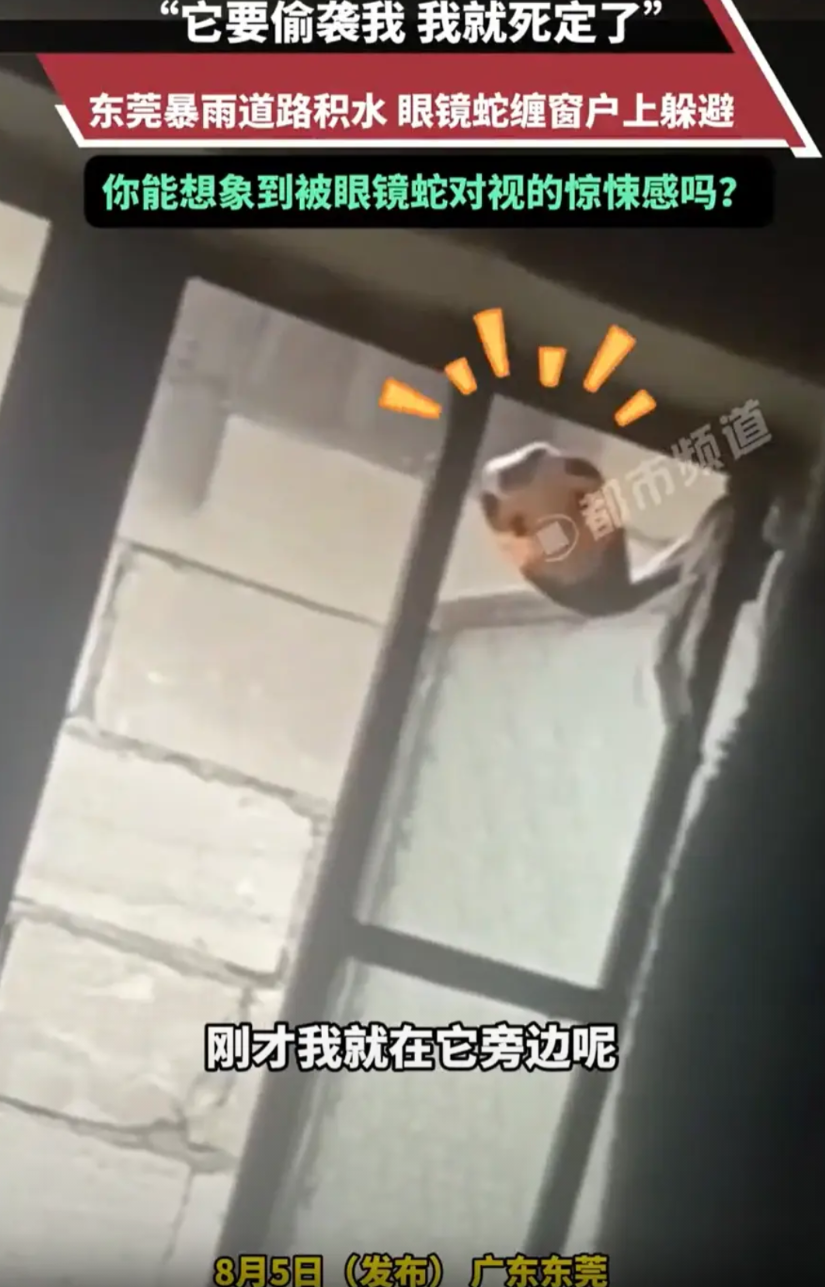 “太吓人了！”广东东莞，外面下暴雨，男子站在窗边望风，偶然用余光扫到窗户上面好像
