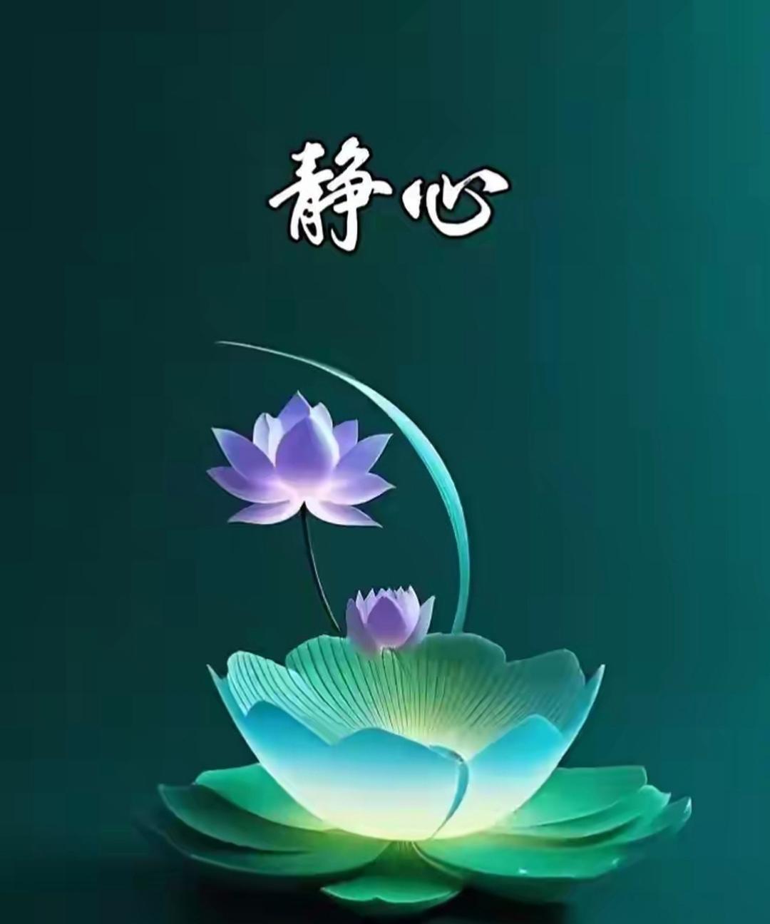 观念不同，不言为贵；
认知不同，不争为上；
信仰不同，不论为善；
立场不同，不辩