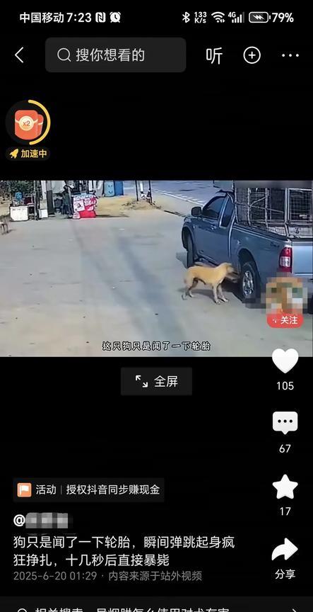 刷到一条视频，狗闻了轮胎，瞬间跳起疯狂挣扎，十几秒后断气。
网上说有一种轮胎保护