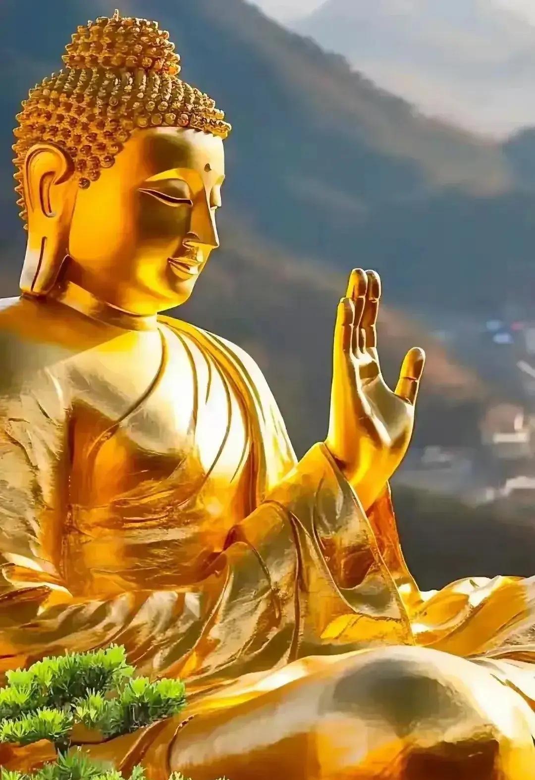 恭喜恭喜你呀！真是好运降临，竟然遇见了大日如来佛祖。这是一个多么难得的机缘，彰显