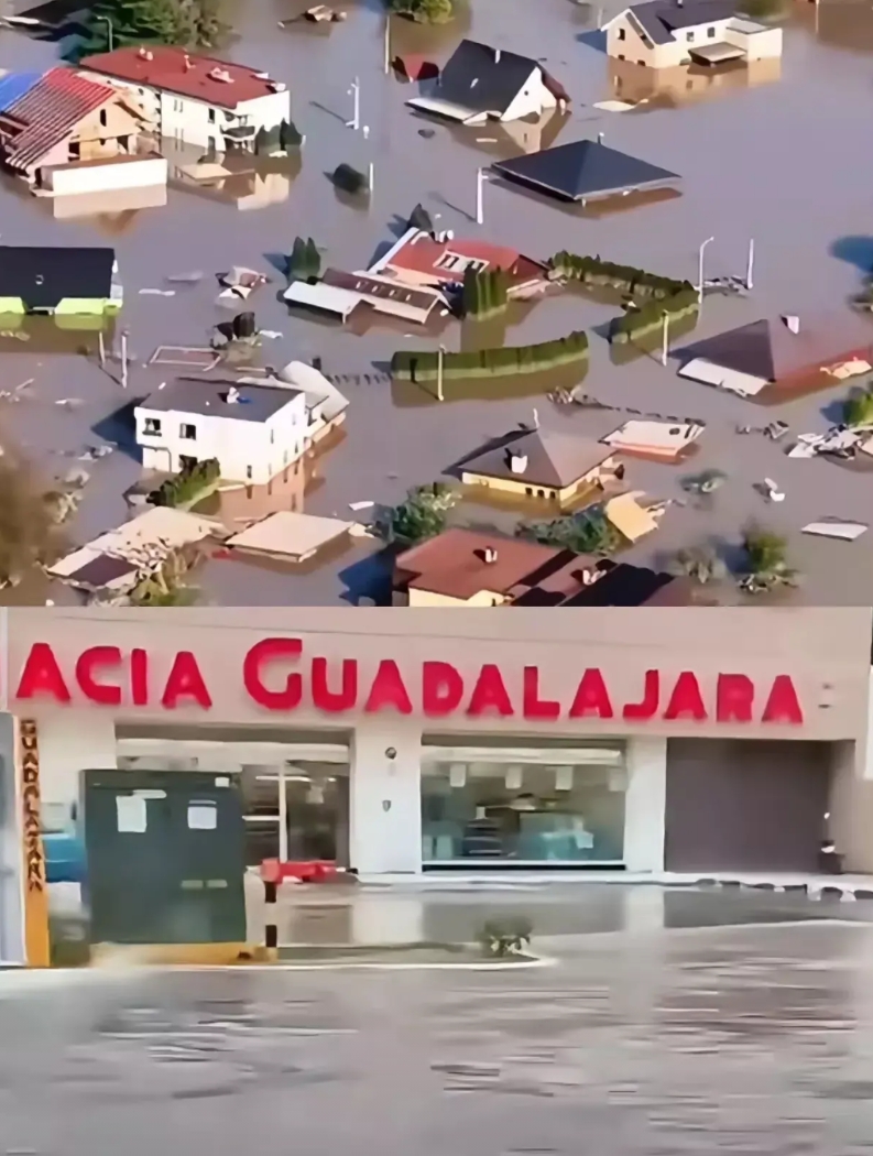 洛杉矶先变烧鸡，现在又变落汤鸡了
美国那只洛杉矶去年一烧，就是一两个月，烧毁了山