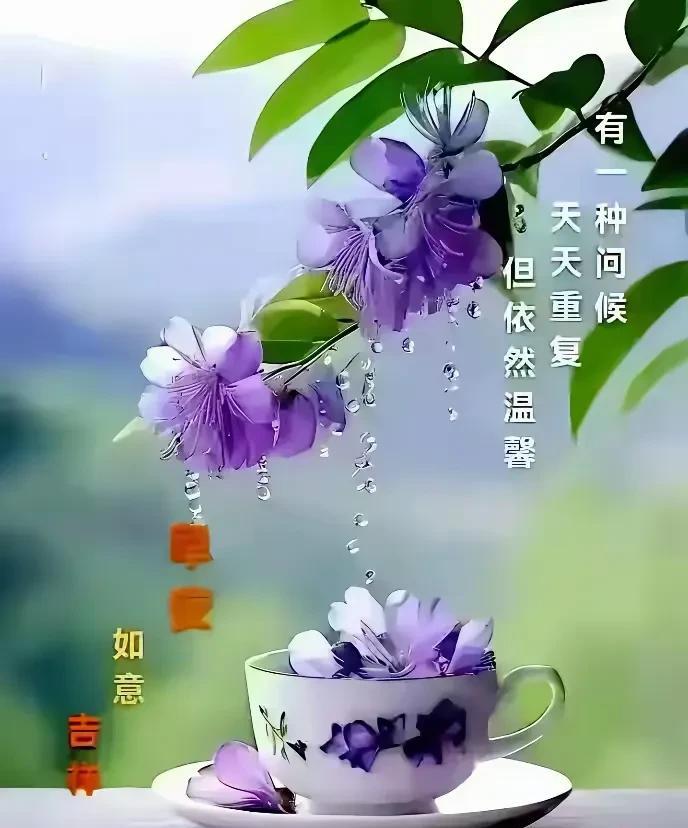 早安！
一杯花茶，心情倍儿好。