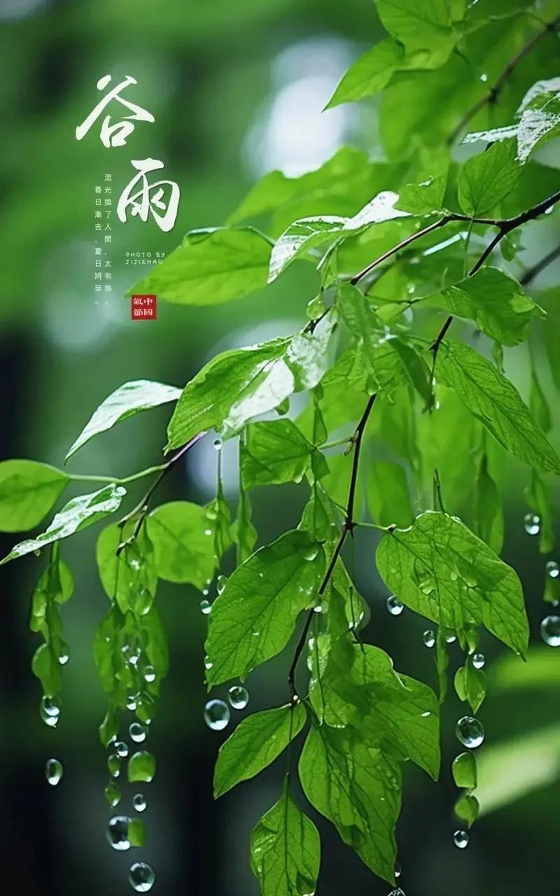 早安心语：
四月二十五日，周五快乐，早上好！细雨绵绵春将尽，凉风习习夏至临，春夏