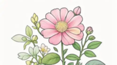 曾经以为自由是最珍贵的