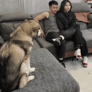 夫妻之间的那点事，是双方最私密的事情，不仅是彼此两个人的事情，谁又愿意有一个第三