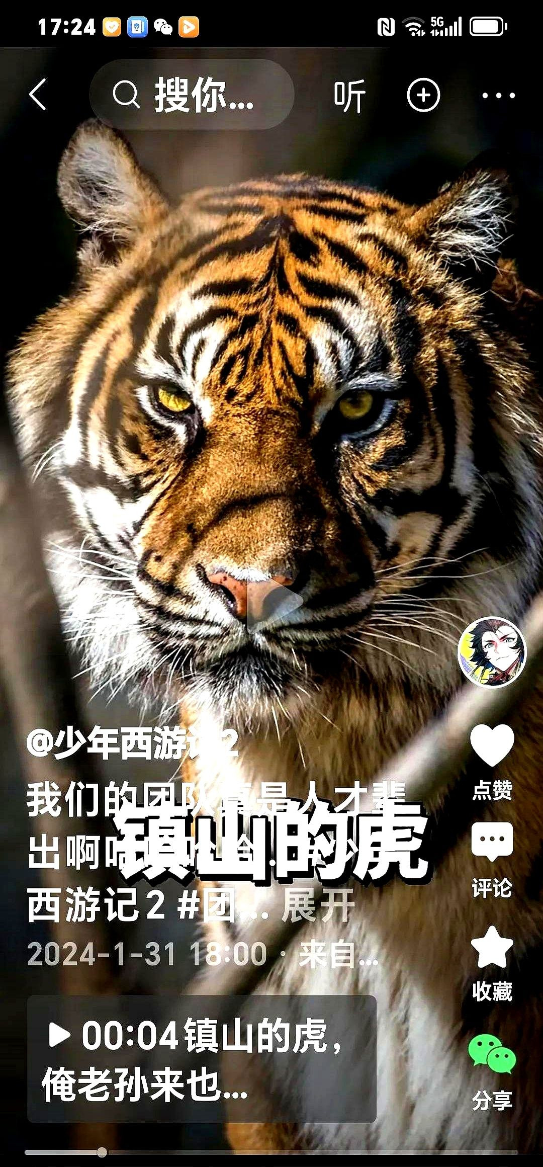 俄罗斯开始报复，泽连斯基求饶了











---








