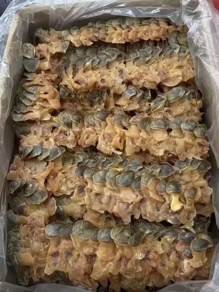 兄弟寄来的特产，谁知道怎么吃
