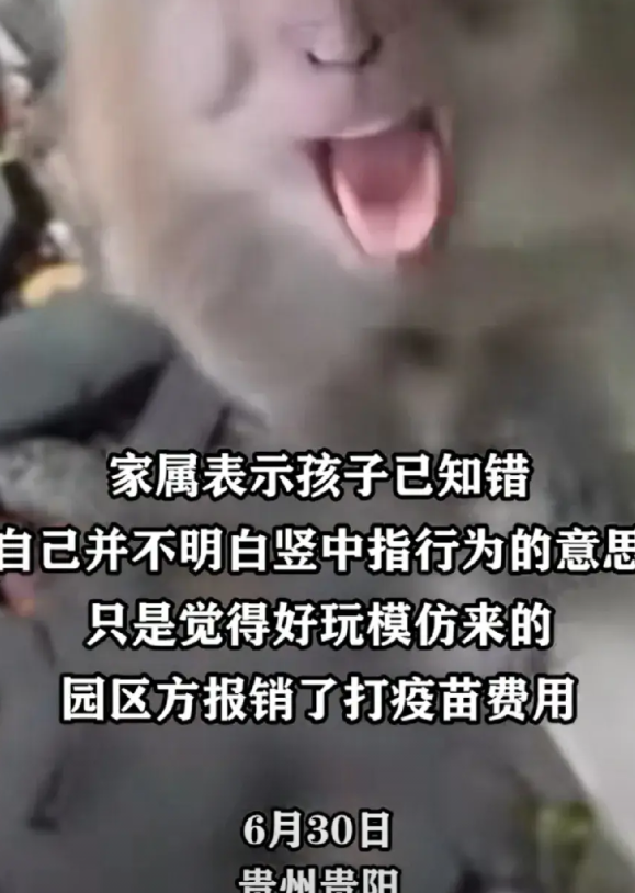 6月30日，贵州贵阳。7岁的男孩和外婆上了黔灵山游玩。这里的野生泼猴远近闻名，常