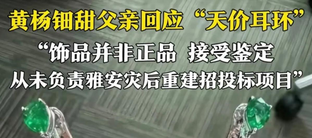 230万祖母绿耳环非正品，黄杨钿甜父亲回应。
近日网传内娱艺人收到的成人礼耳环价