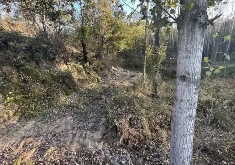 三个凶手翻供了
这个时候最好的方法就是
以暴制暴
屈打成招
刑讯逼供
先捆上，扇